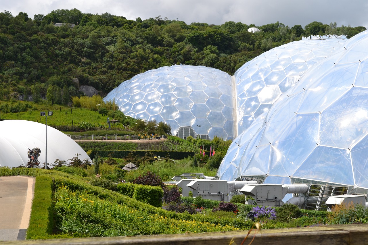 东湖生态旅游风景区森森精灵水族店 全国水族馆企业名录 第3张