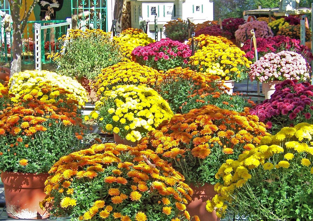 平凉市崆峒区缤纷花世界花卉经销店（平凉市崆峒区缤纷花世界花卉经销店电话）