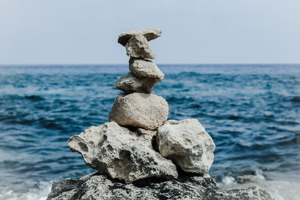 海水鱼缸造景效果图片（海水鱼缸造景效果图片大全） 海水鱼 第1张