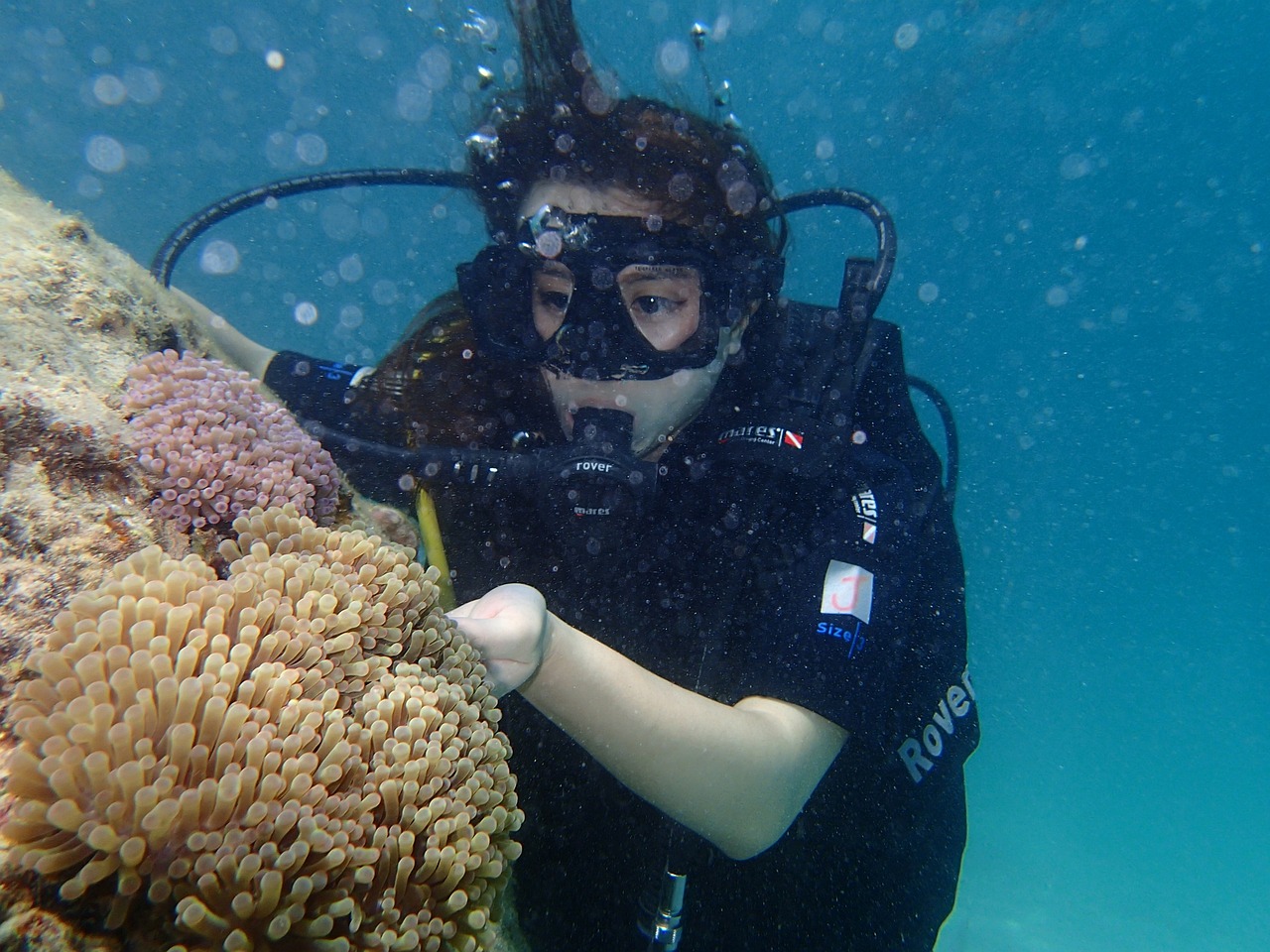 鱼呼吸需要氧气吗（鱼呼吸需要空气吗） 水族周边 第2张