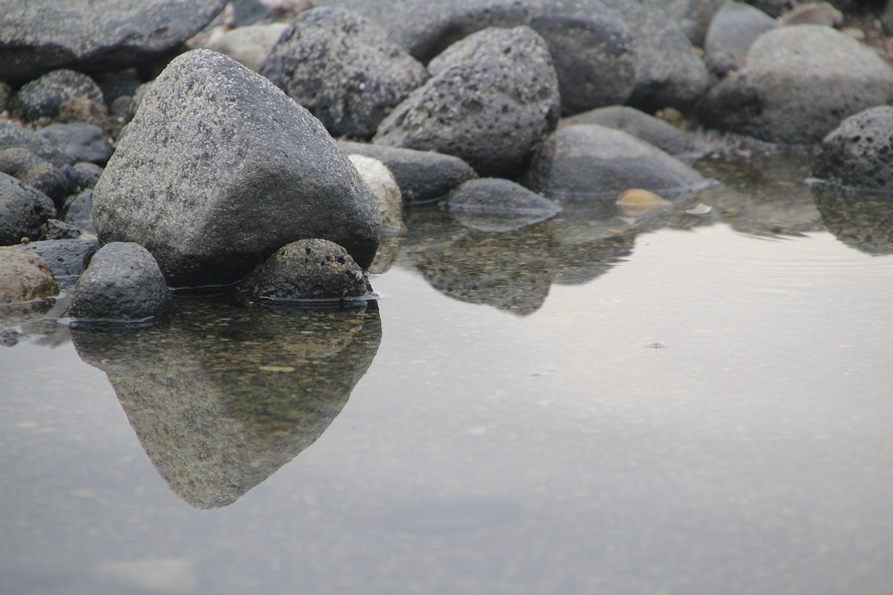 海象最后变成什么颜色（海象长大后的颜色）