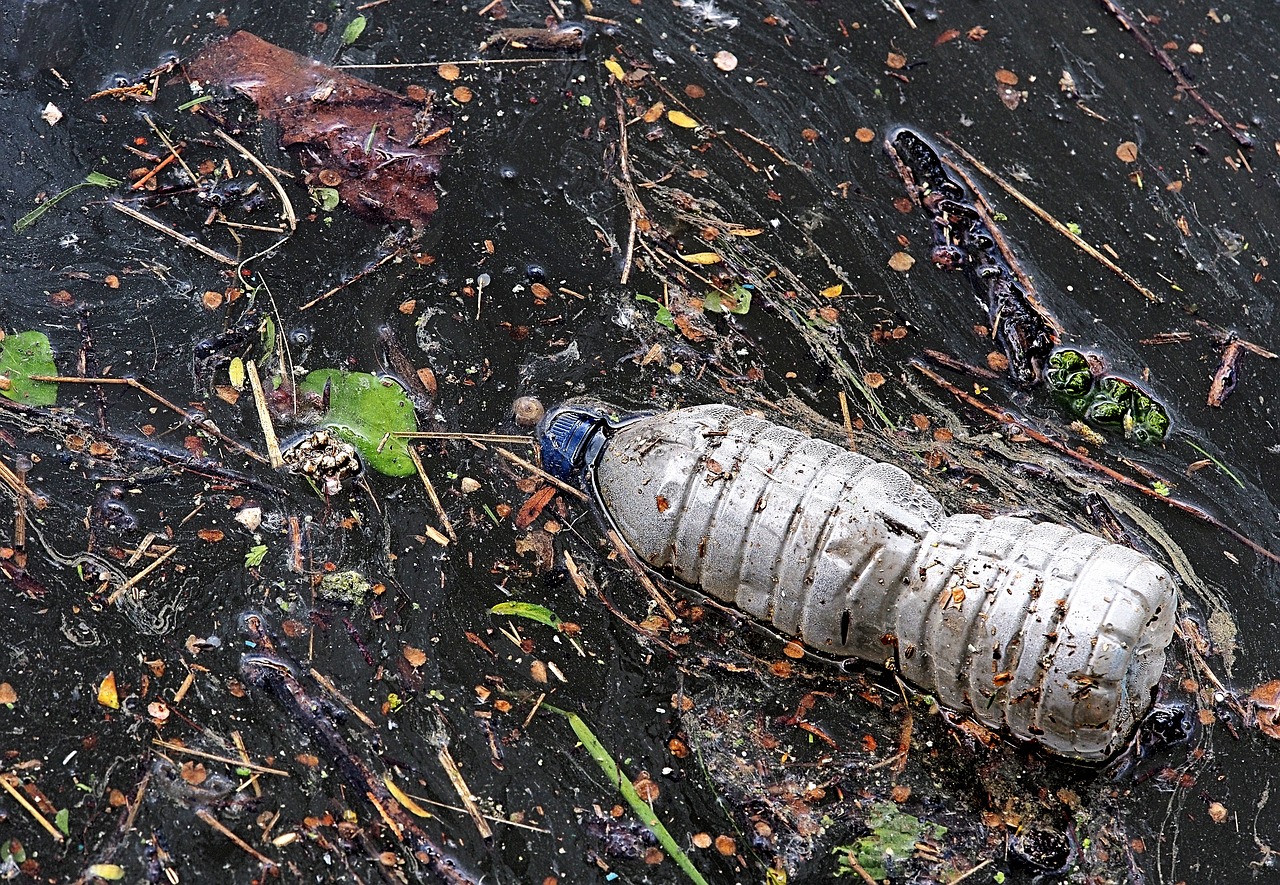 黑鳍苏虎出状态了