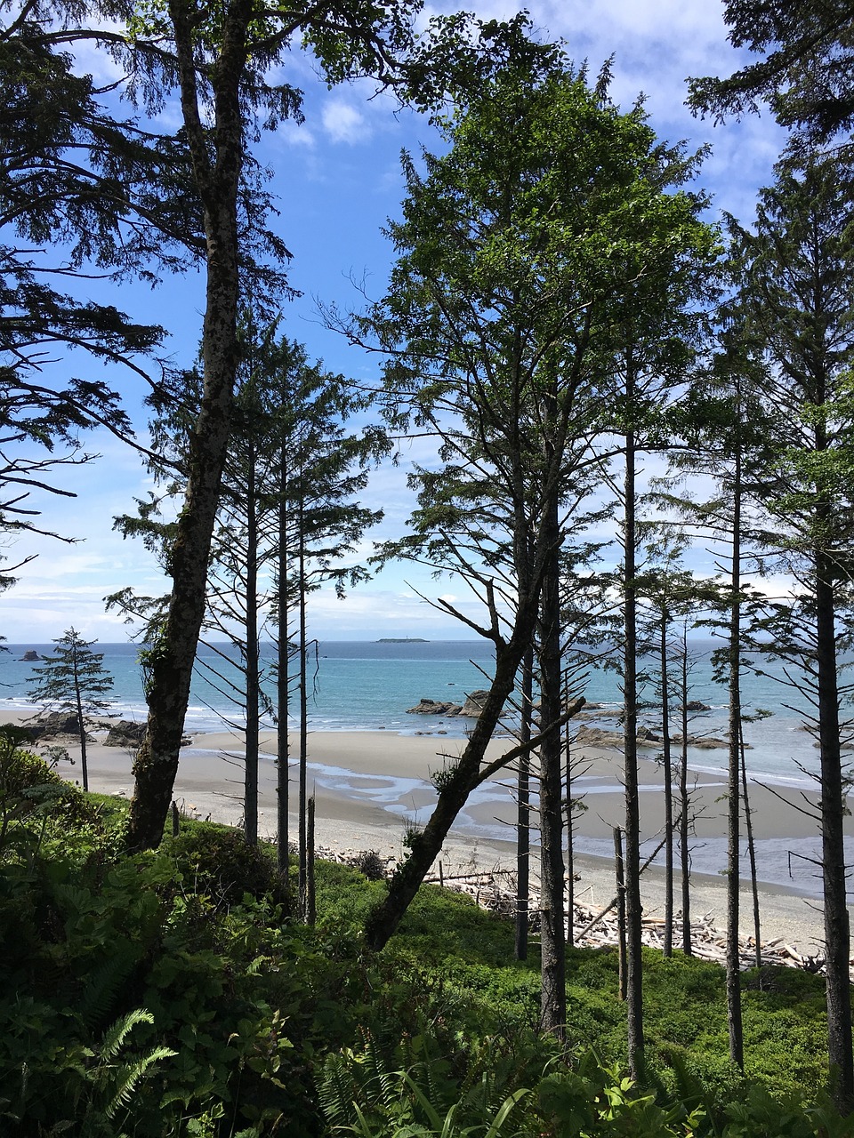 青岛绿境造景空间设计有限公司（青岛绿境造景空间设计有限公司怎么样）