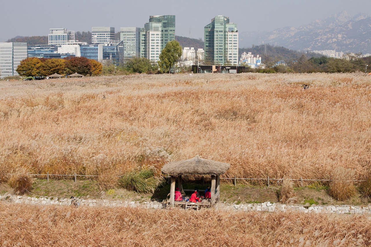 浙草地园林市政建设发展有限公司宁海分公司（浙江草地）