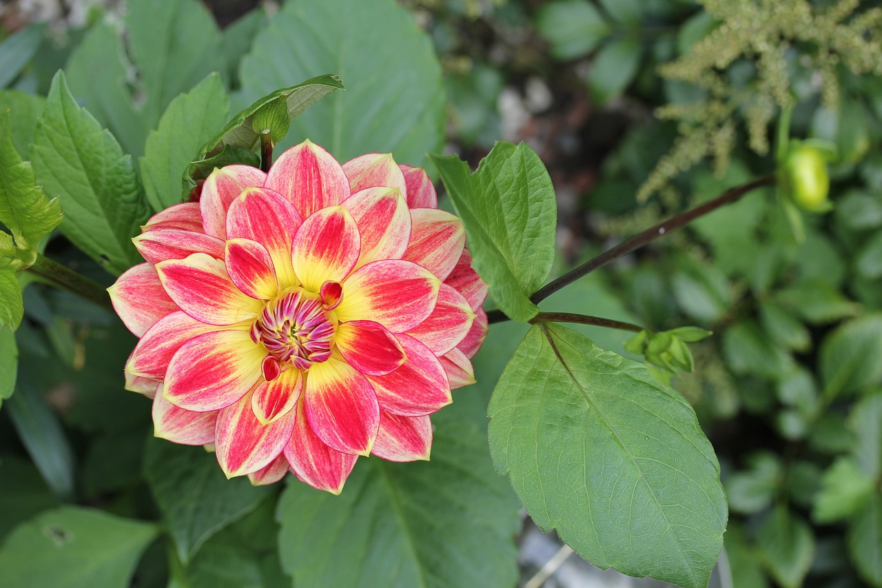 肥西县桃花镇雯洋花坊