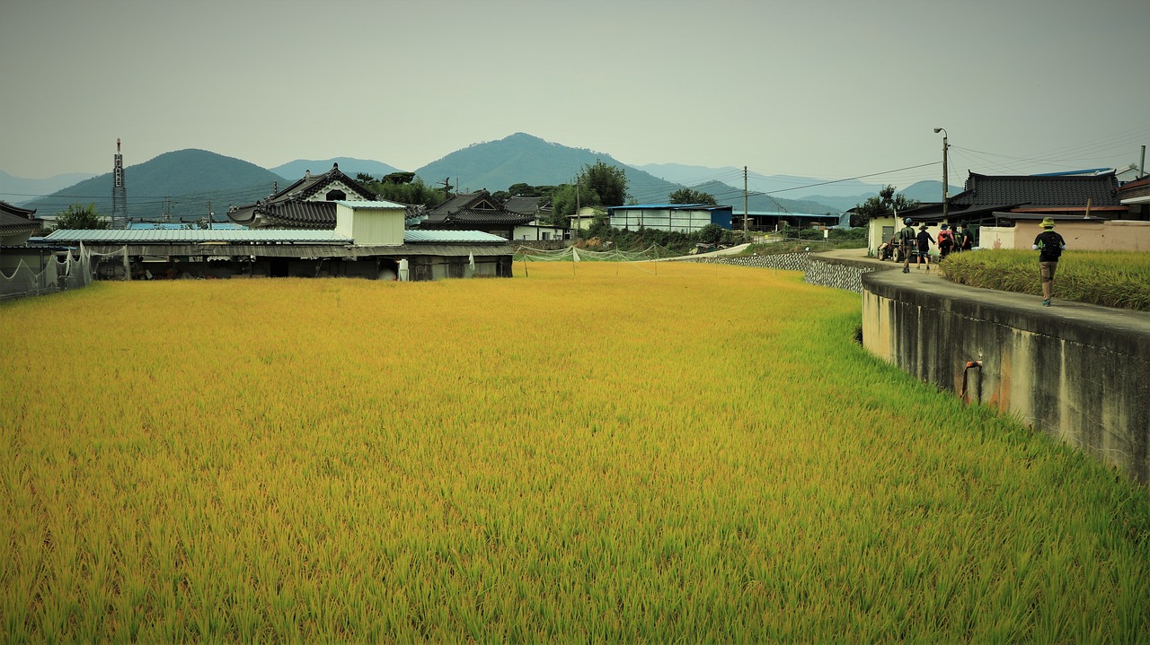 哈尔滨市松北区佰君种植园（哈尔滨市松北区佰君种植园在哪）