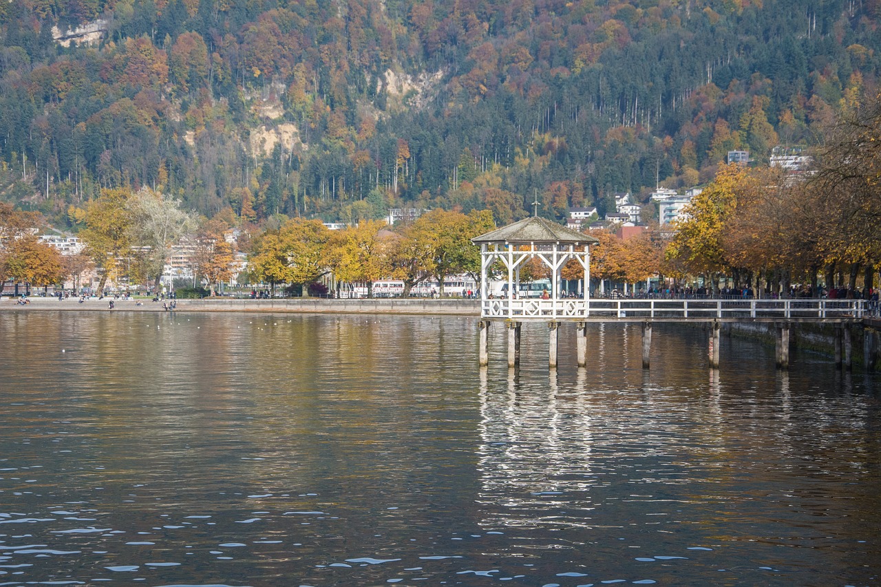 辽阳市太子河区宝田观赏鱼养殖中心（辽阳市太子河区宝田观赏鱼养殖中心电话） 全国水族馆企业名录 第1张