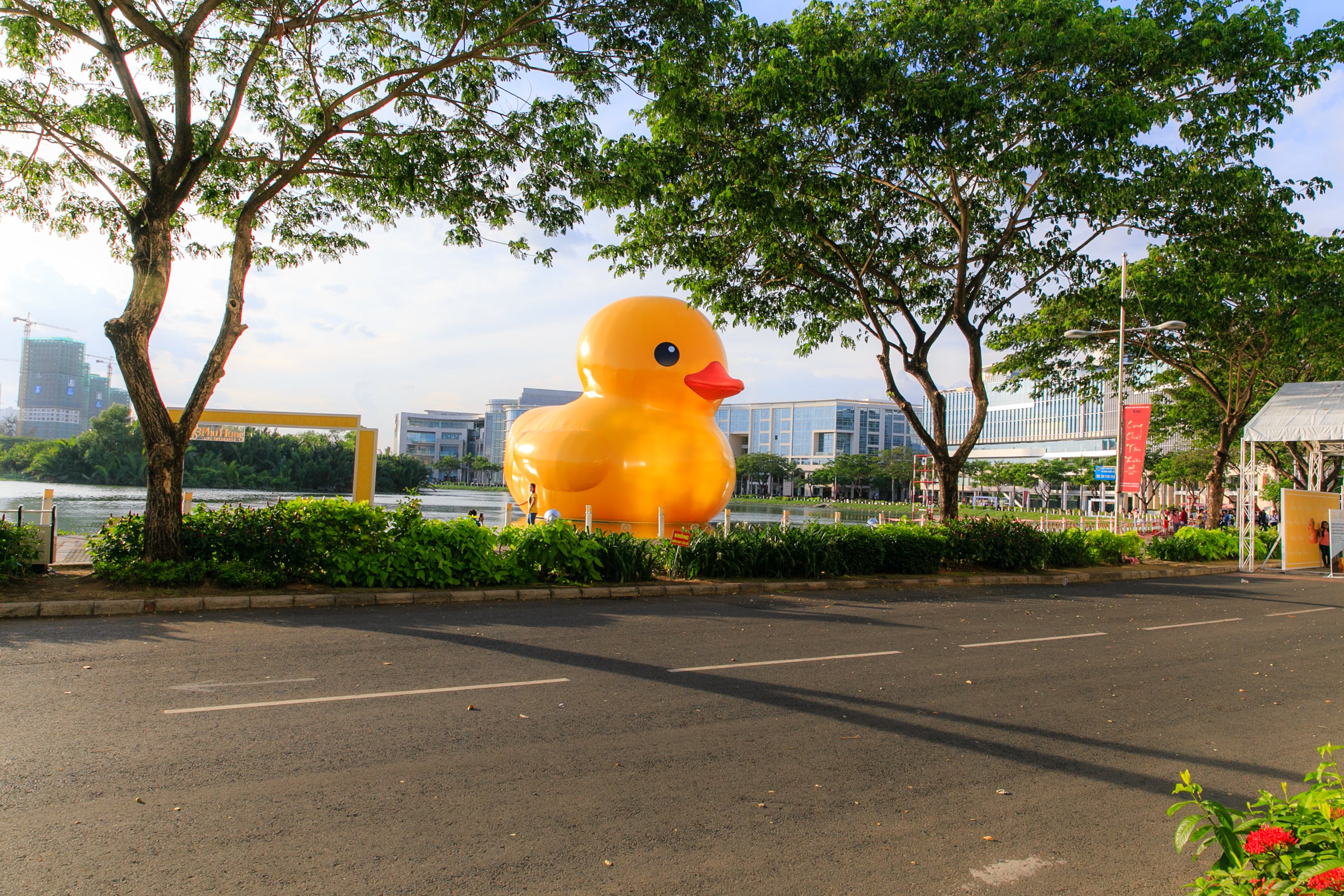 沈阳市铁西区北鲲鹏花店 全国水族馆企业名录 第2张