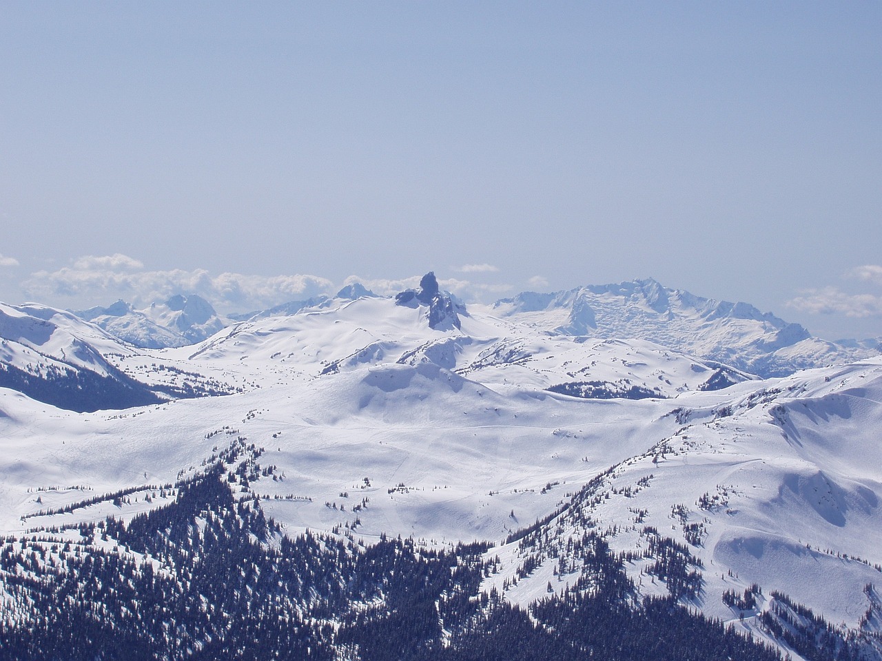 鞍山市立山区高山流水养生汇