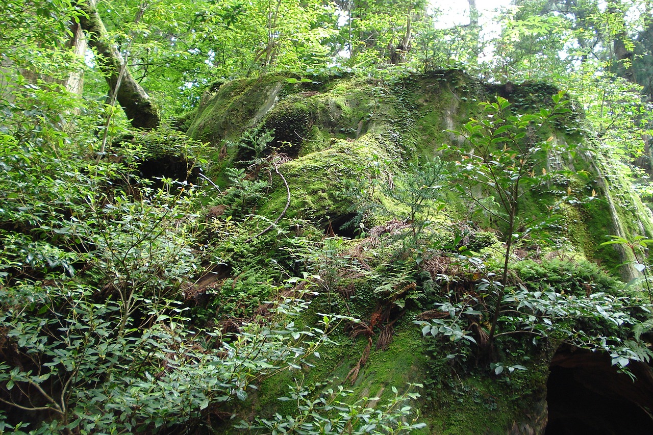 莱芜市钢城区欧亚生态农业园（莱芜市钢城区欧亚生态农业园地址） 全国水族馆企业名录 第2张