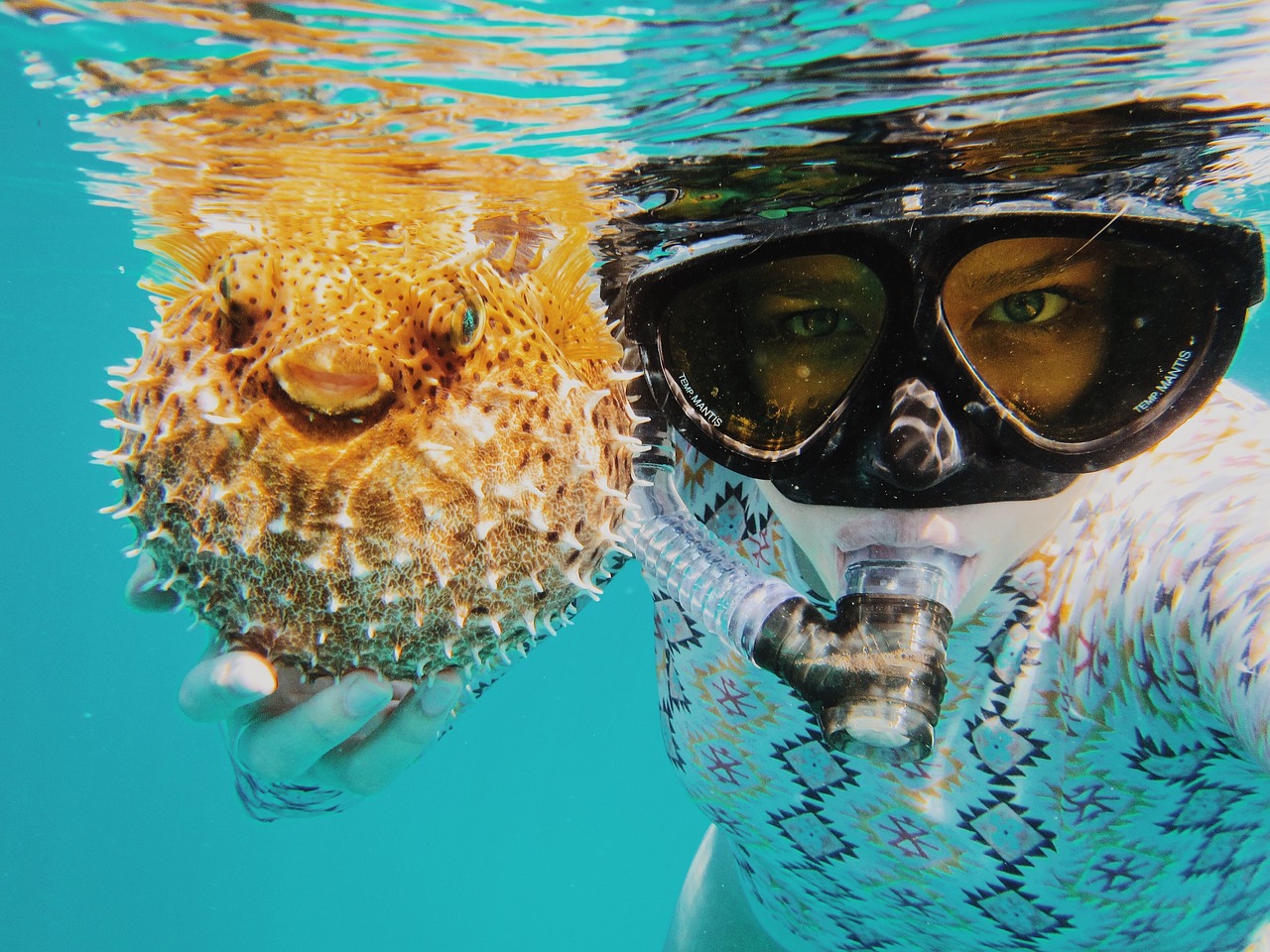 德州哪里卖鱼缸的多一点啊：德州鱼缸批发市场在哪里 广州水族批发市场 第1张