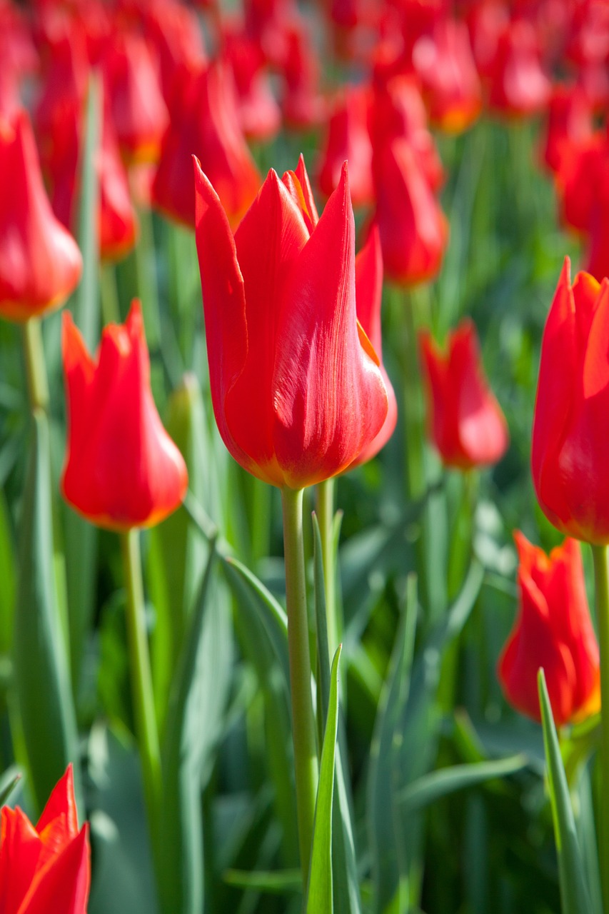 西咸新区沣东新城静静花坊（西咸新区沣东新城静静花坊地址）