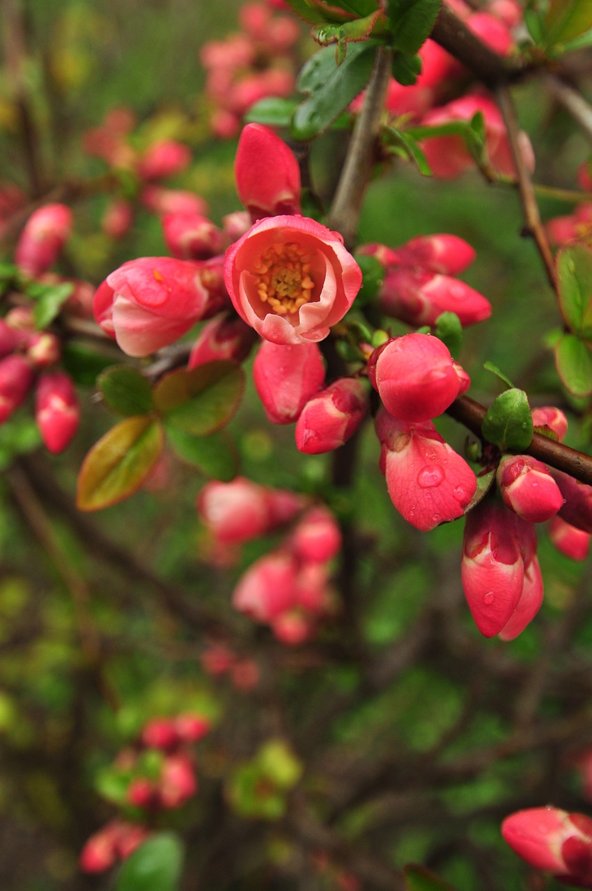 市中区小花农花坊（市中区小花农花坊地址） 全国水族馆企业名录 第1张