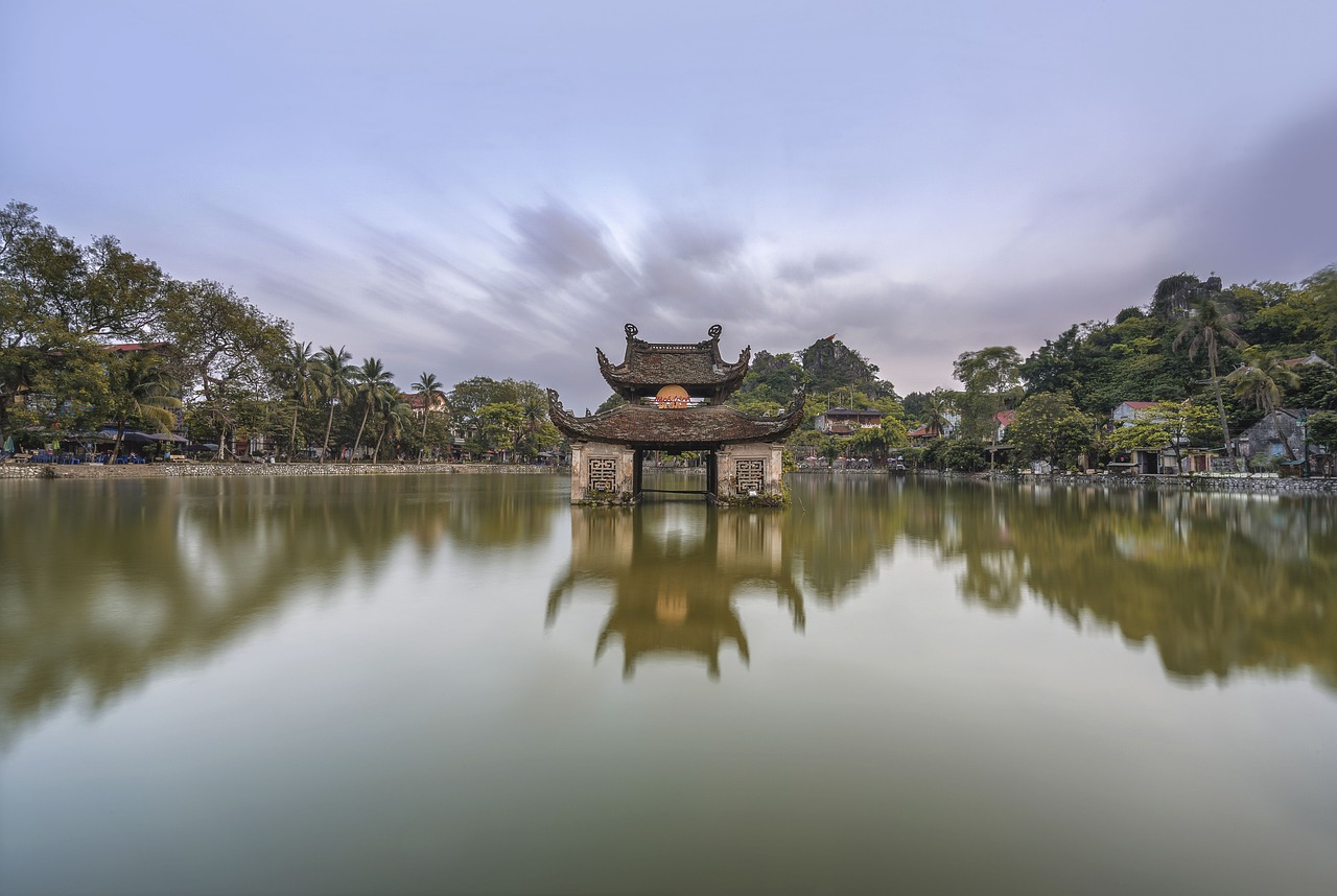 雷龙鱼鱼缸造景（雷龙鱼鱼缸造景视频） 黄金斑马鱼 第1张