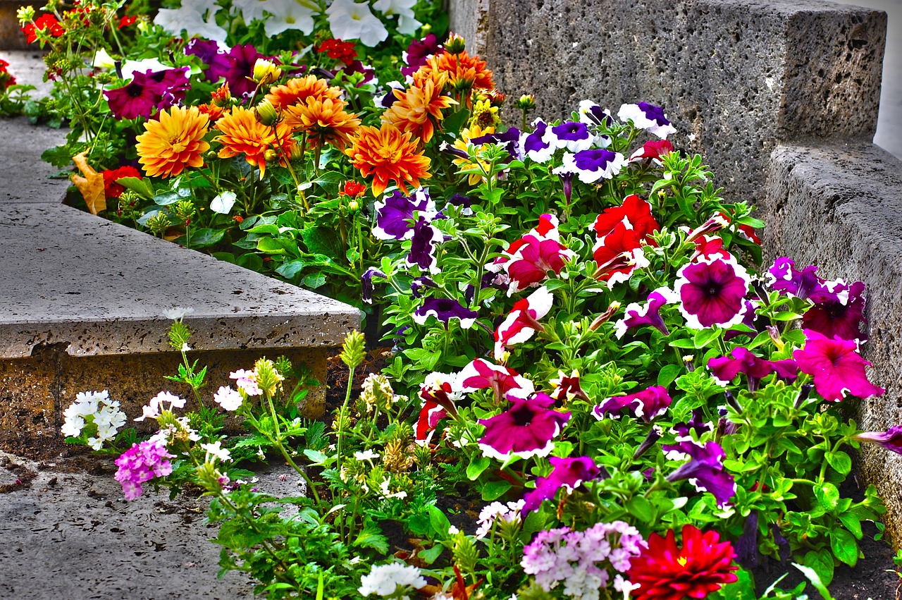 南京市雨花台区翔丽园艺中心（南京市翔宇花园）