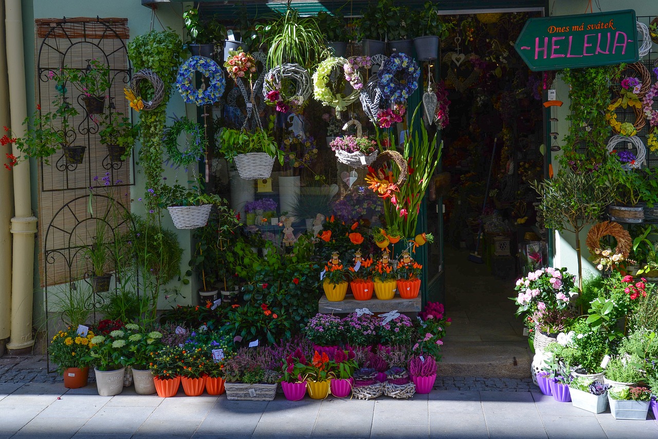 汾阳市左桐花鸟鱼店