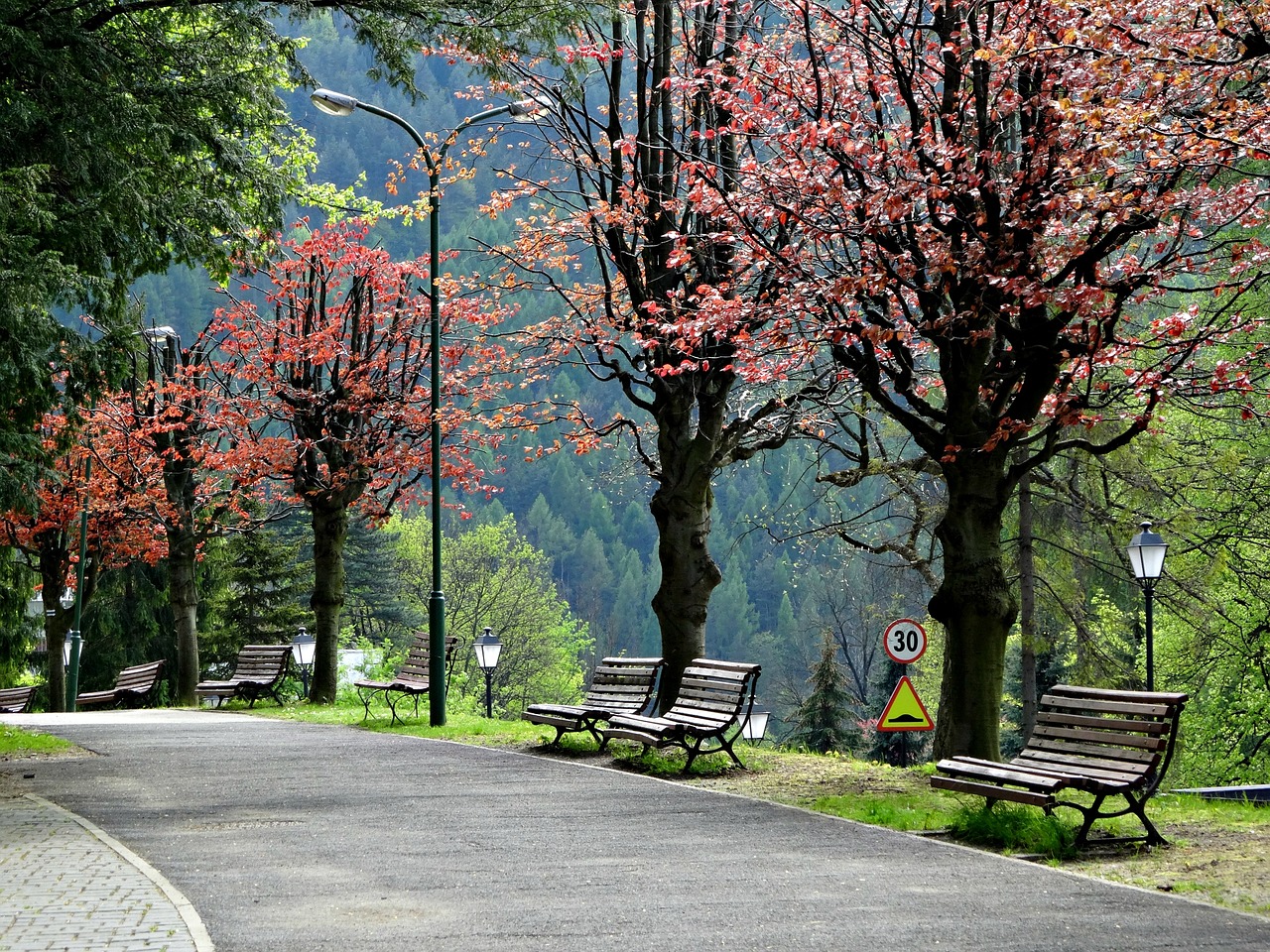 吉林金龙生态旅游服务有限公司（吉林金龙生态旅游服务有限公司怎么样）