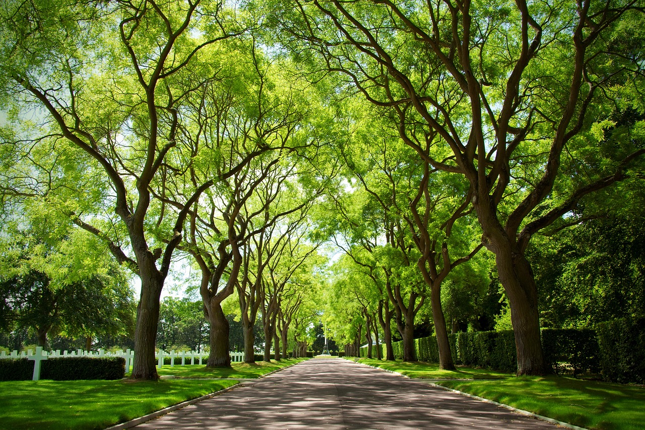 世界上景观设计最好的大学排名（国内十大园林景观设计公司有哪些） 广州景观设计 第1张