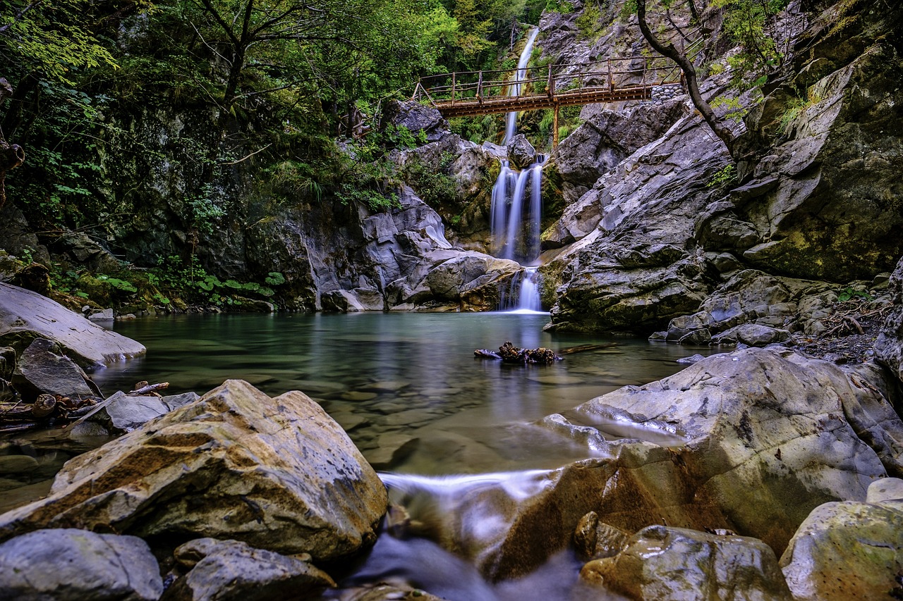 庭院景观鱼池图片（别墅花园水池设计该如何进行） 广州景观设计 第1张