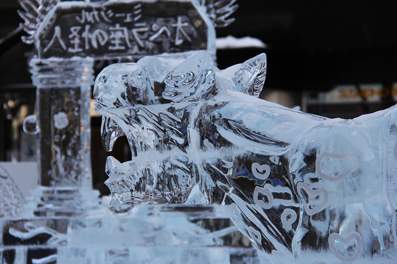 哈尔滨买鱼缸在哪里买好（1.哈尔滨冰雪大世界每年用的冰大约能融化）