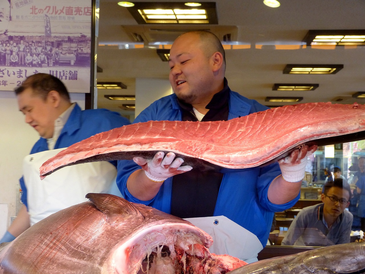 60的鱼缸适合养几条鱼锦鲤（60的鱼缸适合养多大的锦鲤） 元宝凤凰鱼 第2张