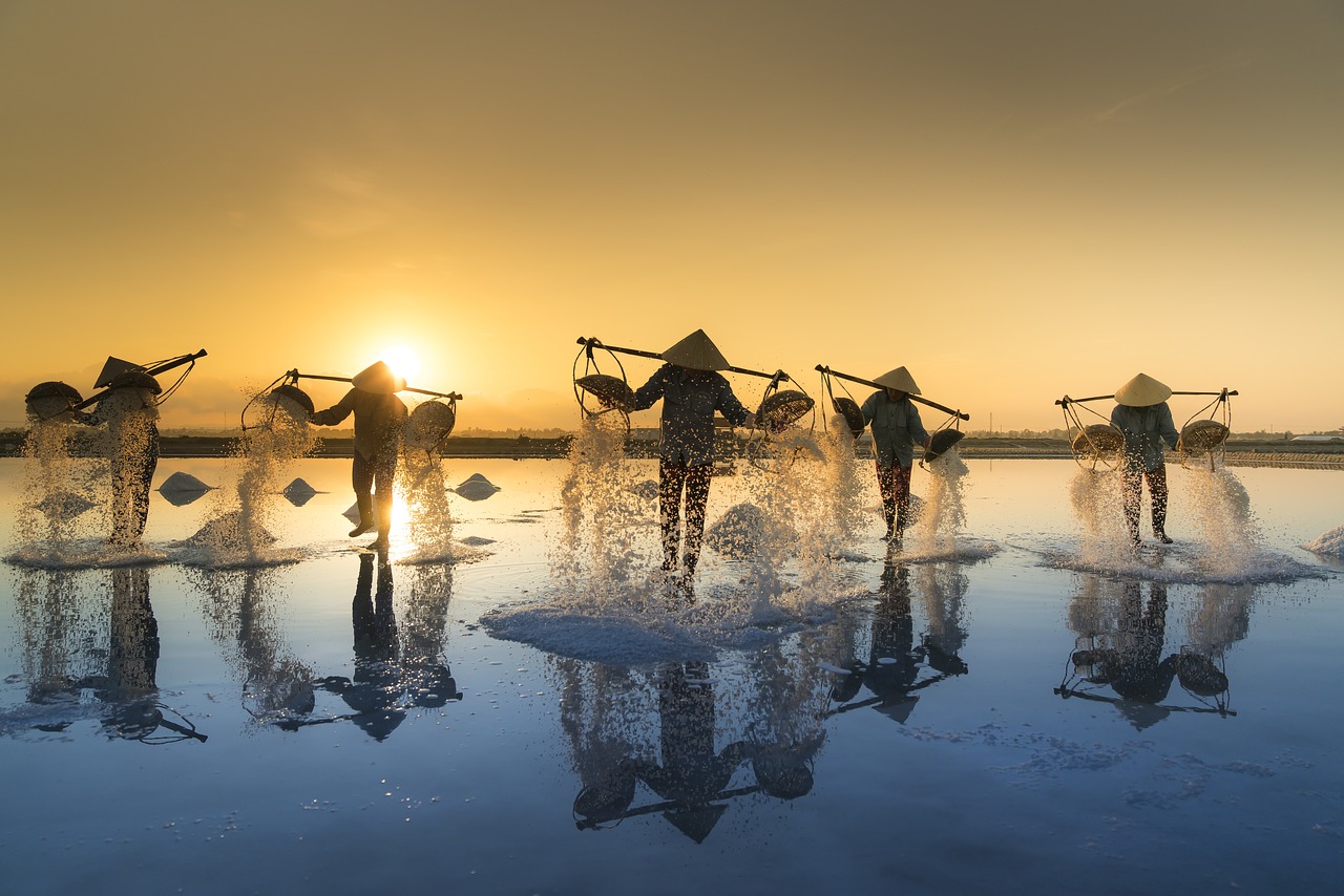 观景鱼缸带水草图片高清大图（100x35x50的鱼缸怎么布景）