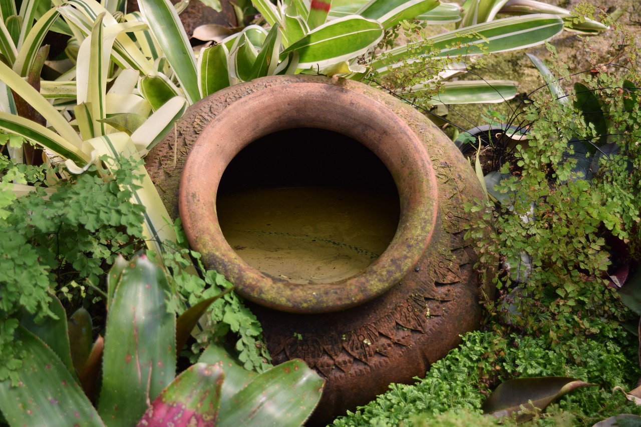 枯山水的设计理念沿于哪里（枯山水与沙漠景观对比(植物)） 广州景观设计 第1张