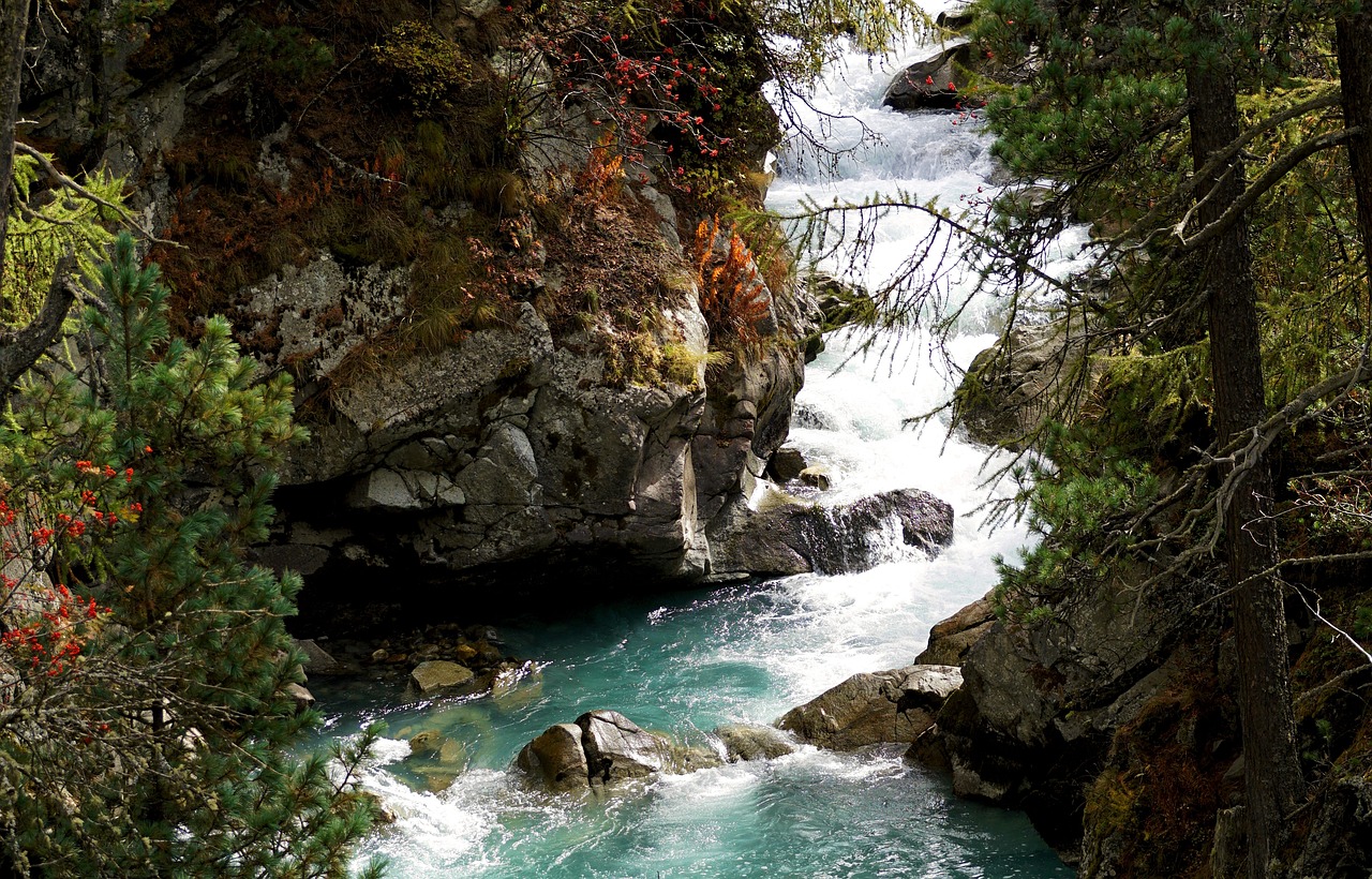 溪流鱼缸造景教程图解大全（大矶沙和溪流石差别）