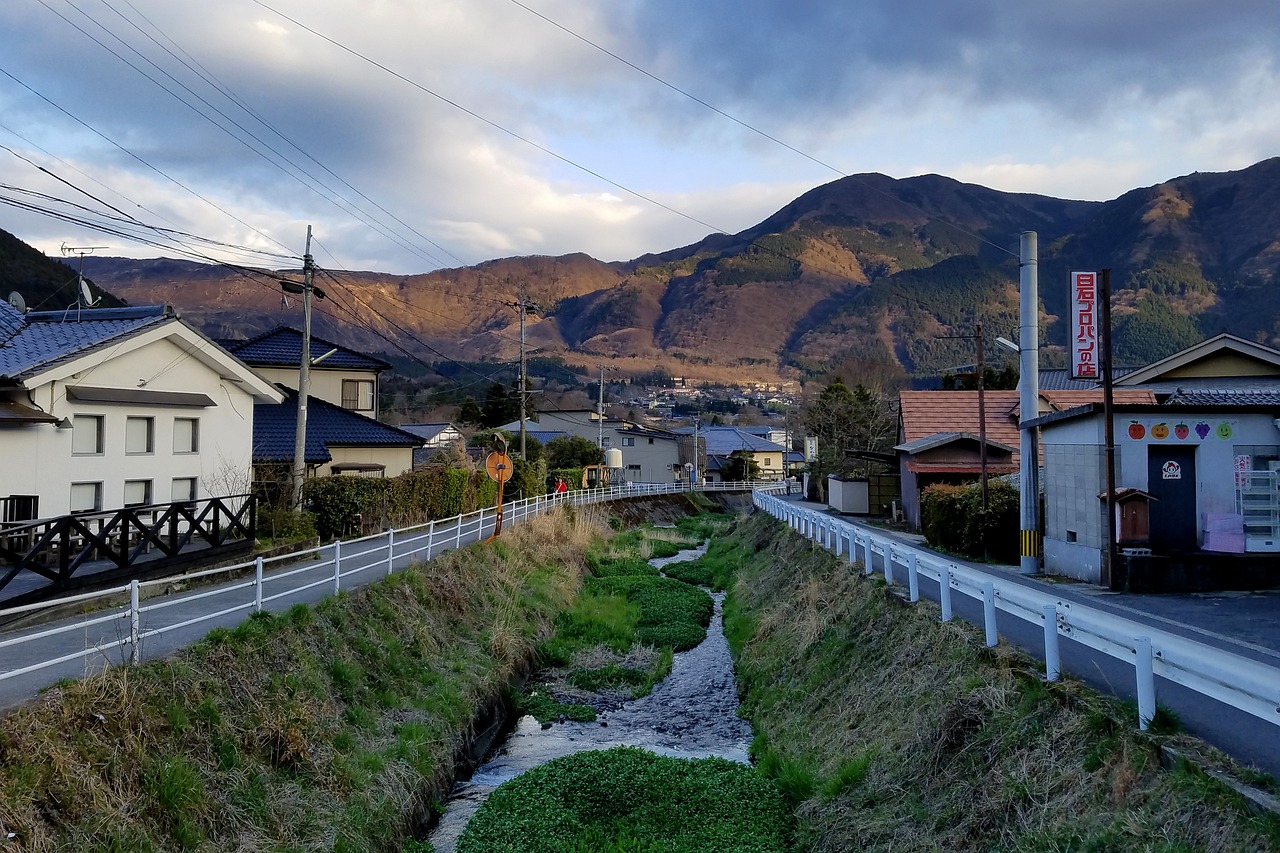 东湖生态旅游风景区海宝宝饮品店