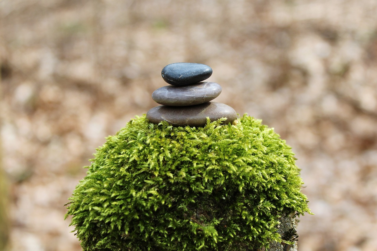 现代枯山水景观案例（请问枯山水中这种景观石头叫什么石头） 广州景观设计 第1张