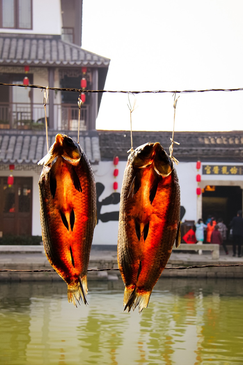 台湾鱼缸加热棒品牌排行前十名有哪些（海水鱼粮哪种好） 海水鱼 第2张