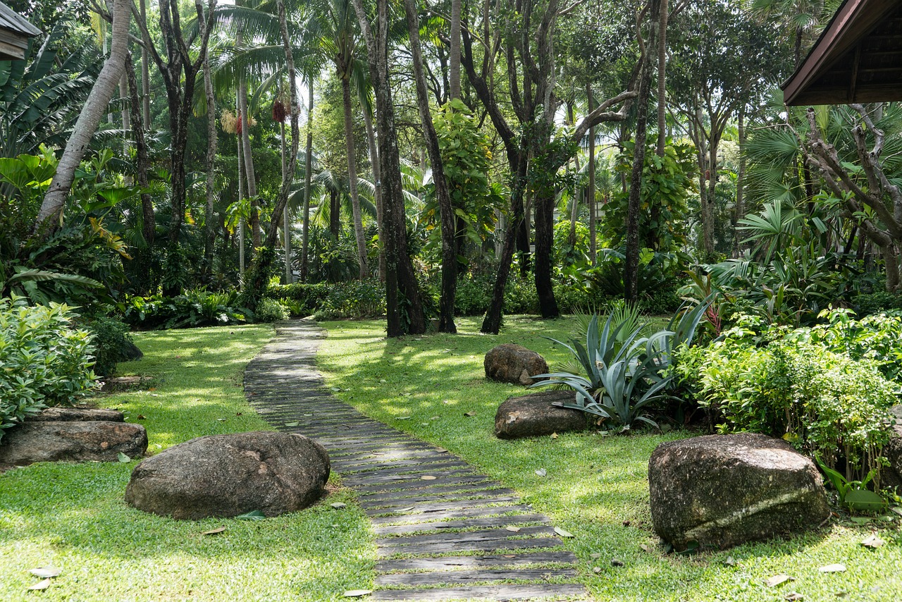 风景园林专业出国读研（南京林业大学的风景园林专业怎么样） 广州景观设计 第4张