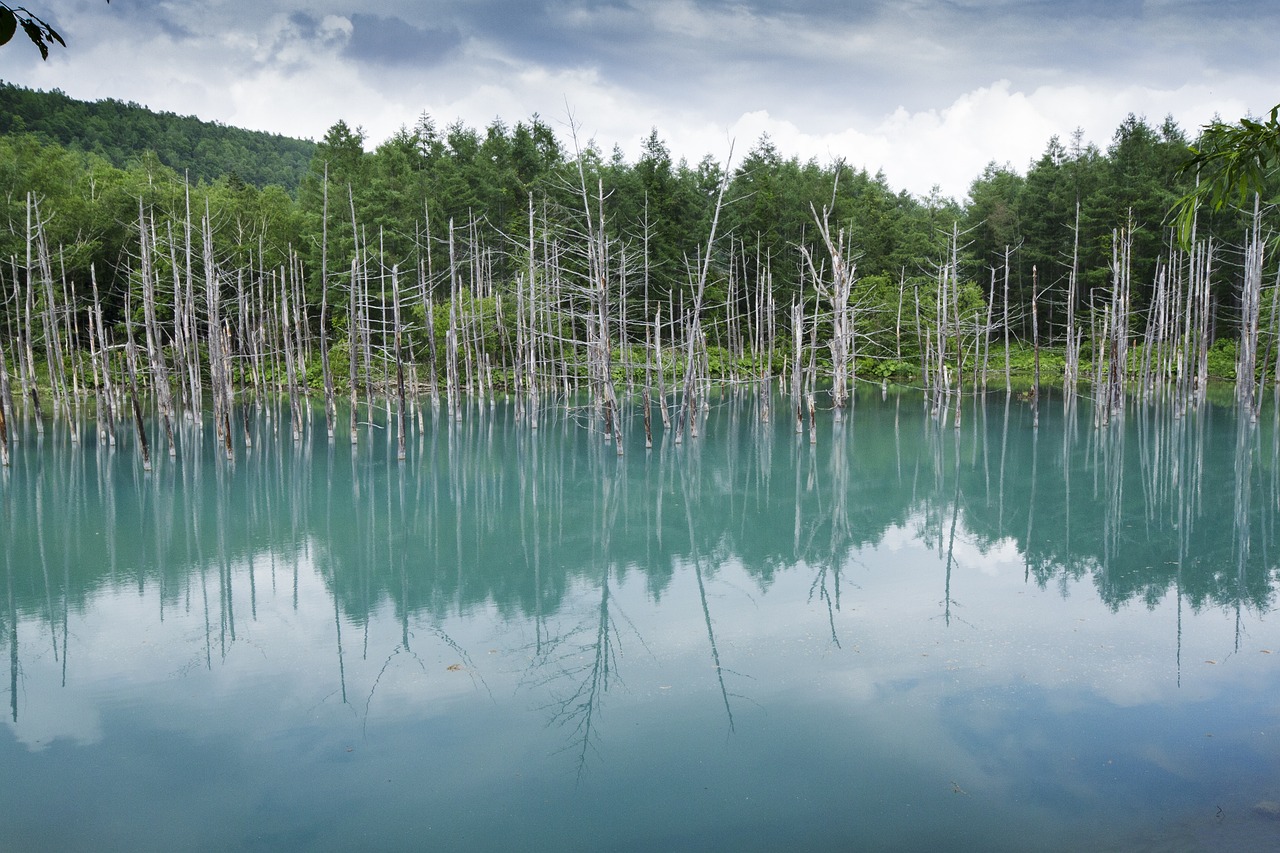 广州鱼池假山设计公司有哪些（广州园林景观设计公司哪家好） 广州景观设计 第2张