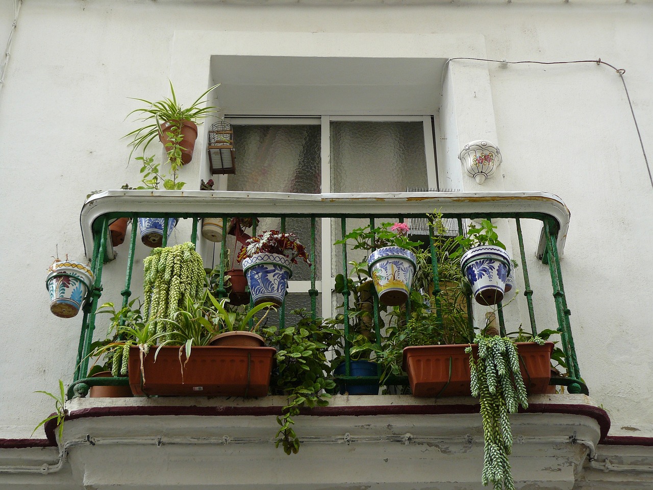 植物墙（植物墙在店面装潢上有什么好处）