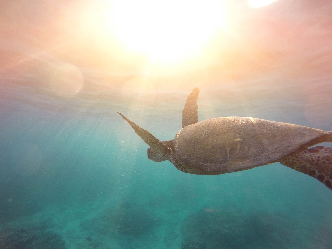 南宁最大水族观赏鱼批发市场地址电话（南宁极地海洋世界大概玩几个小时）