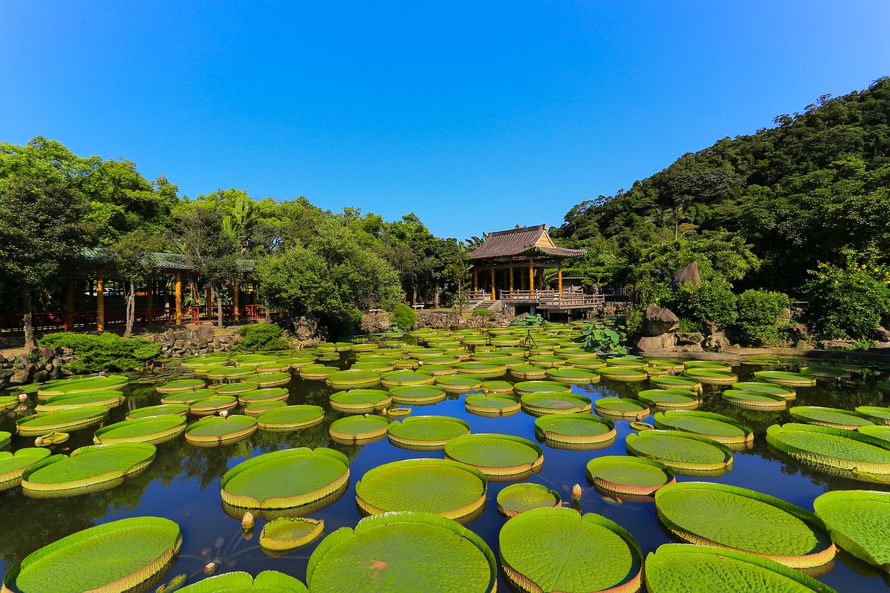 石林造景鱼缸图片大全大图欣赏（有没有什么地方风景比较好啊） 广州景观设计 第1张