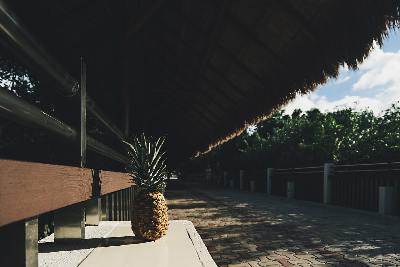 杭州比较好的景观设计院（杭州庭院景观设计公司哪家专业） 广州景观设计 第2张