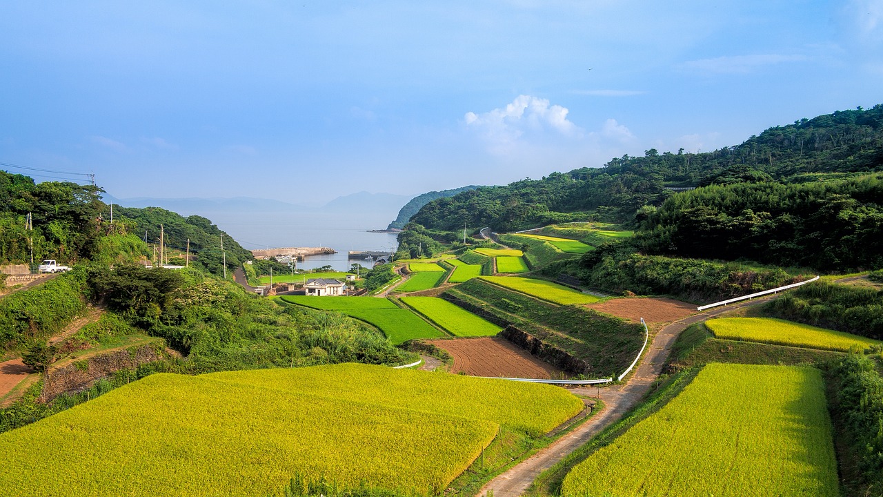 1.5米溪流缸造景视频（将中国山清水秀风景优美的乡村，打造成网红） 广州景观设计 第1张