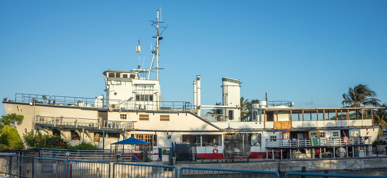 兰州城关区定西南路遇见海洋珊瑚体验店 全国水族馆企业名录 第2张