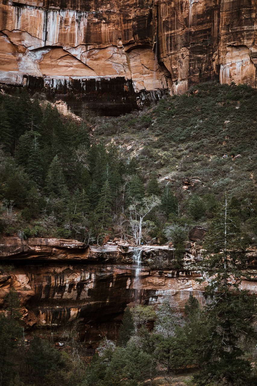 世界顶级鱼缸造景设计（欧美风格鱼缸造景）