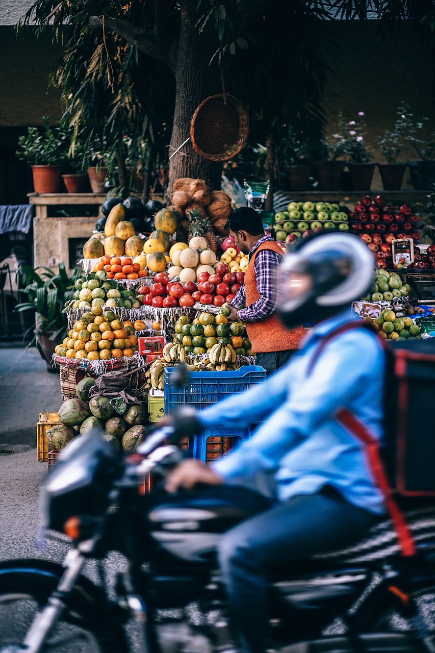 北京市吉铁书观赏鱼店