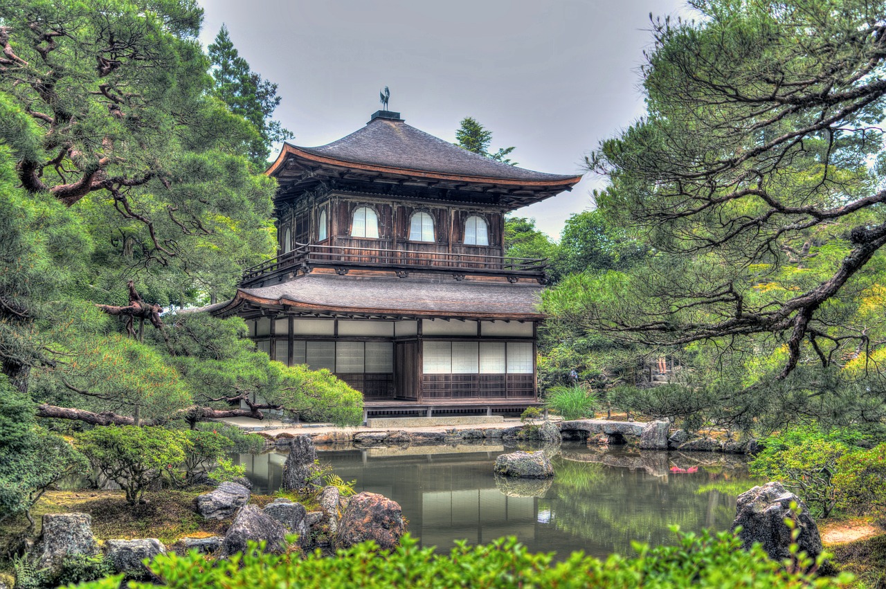 长治鱼缸造景(我想看鱼缸造景) 食人鱼（水虎） 第2张