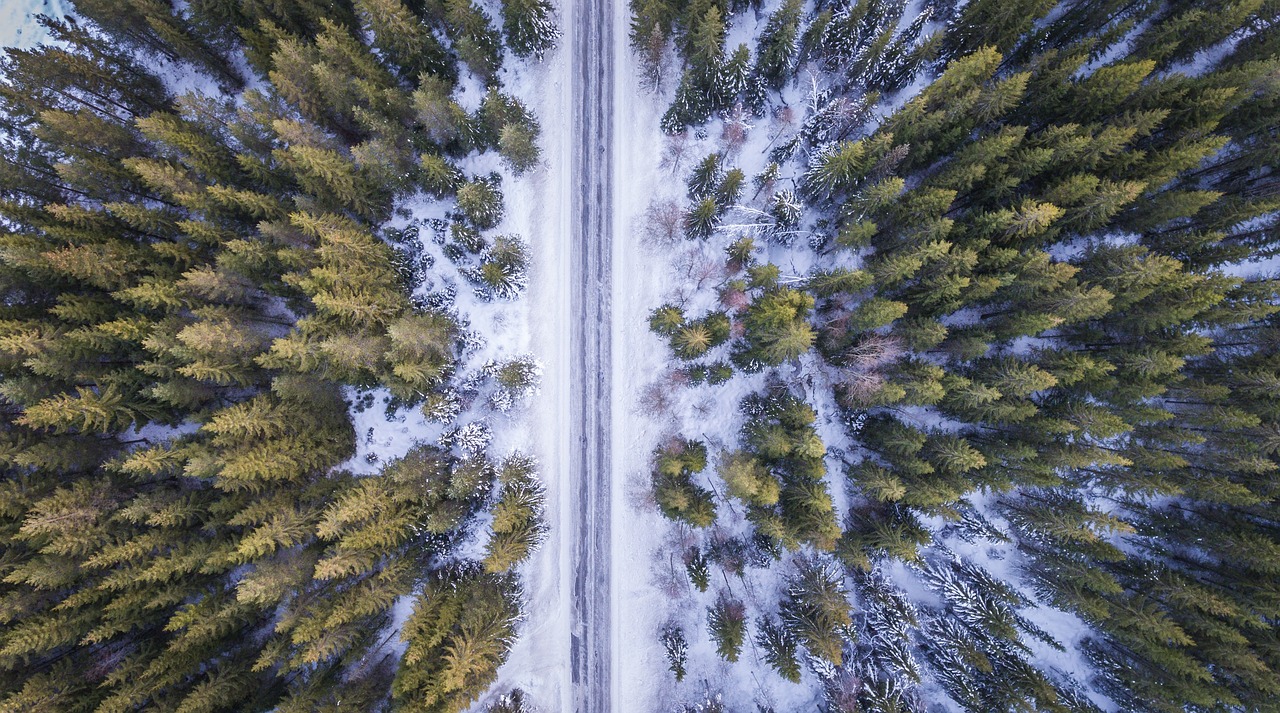 鱼缸浮石造景图片（常见的造景石材都有什么） 广州景观设计 第3张