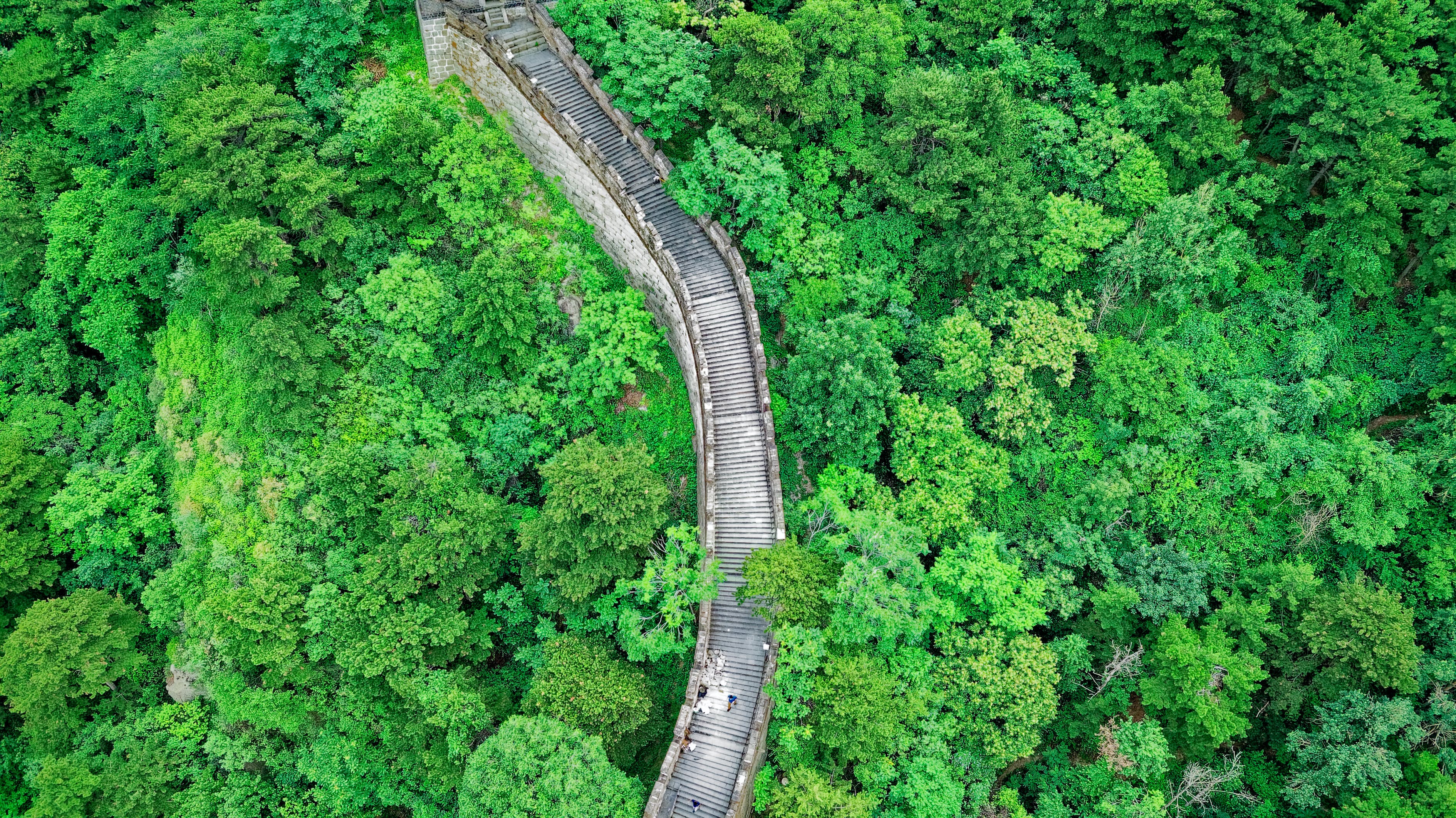 七台河二手鱼缸百姓网电话号码（什么时候去北京旅游比较好） 朱巴利鱼 第2张