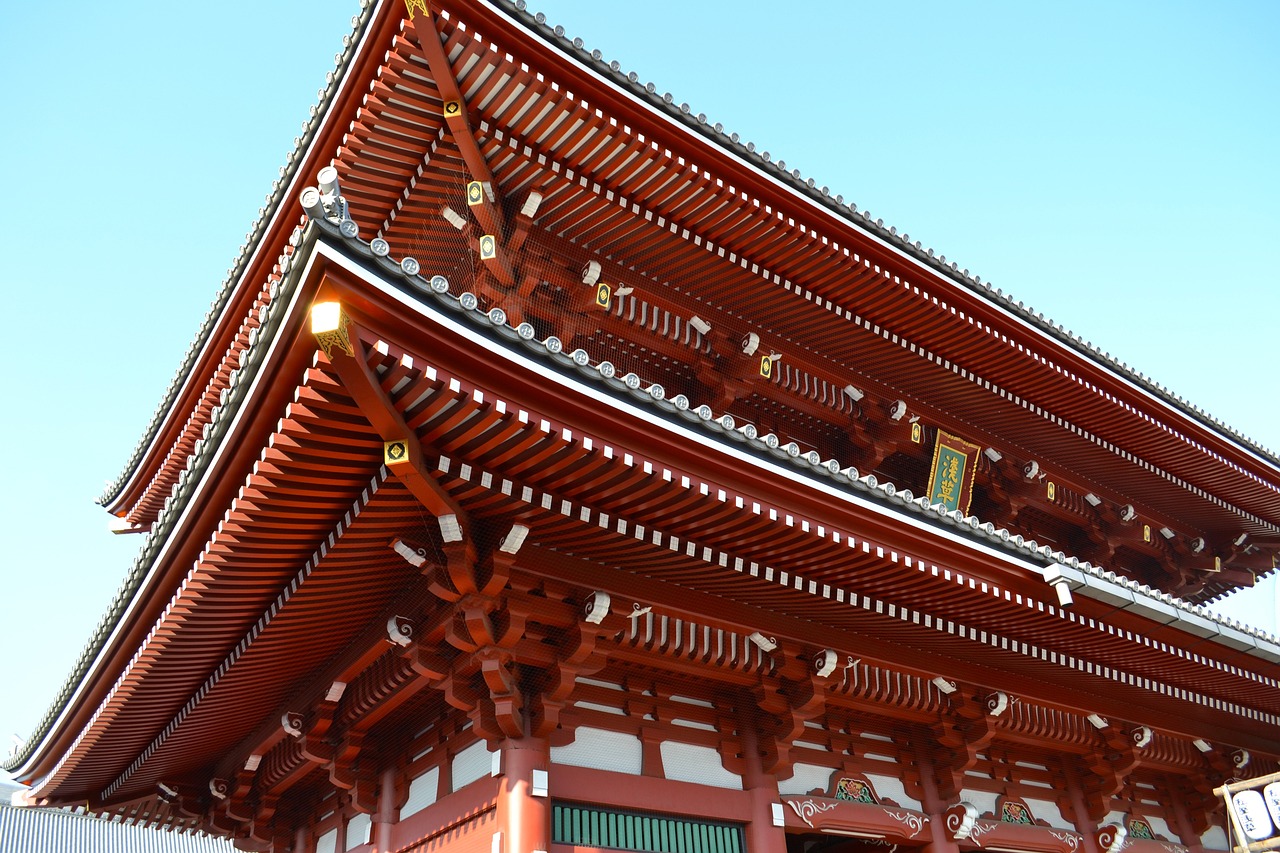 丽江市古城区怡情居花鱼店