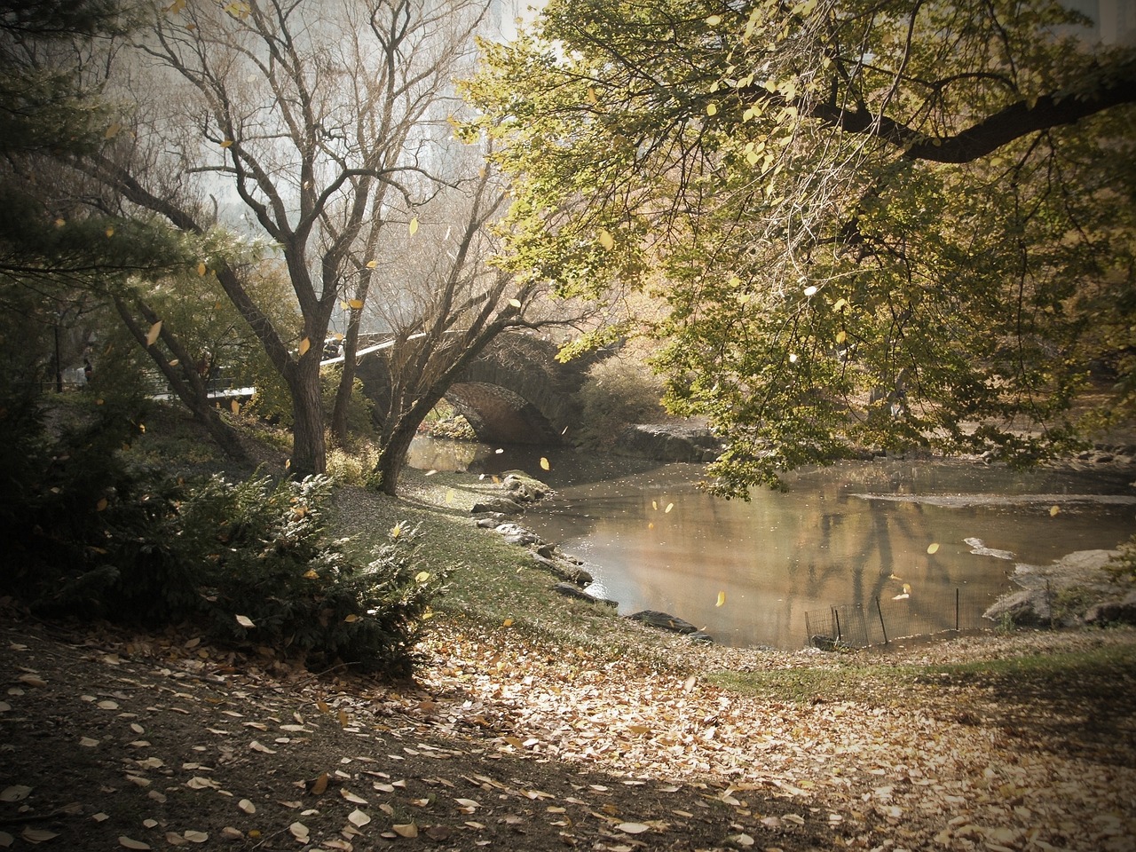 原生鱼缸造景教程视频全集（80高的鱼缸怎么造景） 广州景观设计 第2张