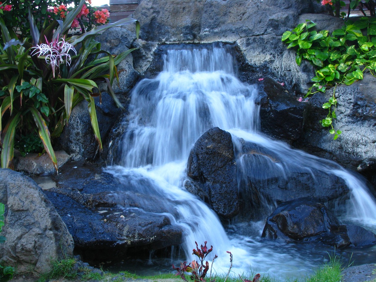 水族造景大赛（热带雨林鱼缸造景价格是多少） 广州景观设计 第3张