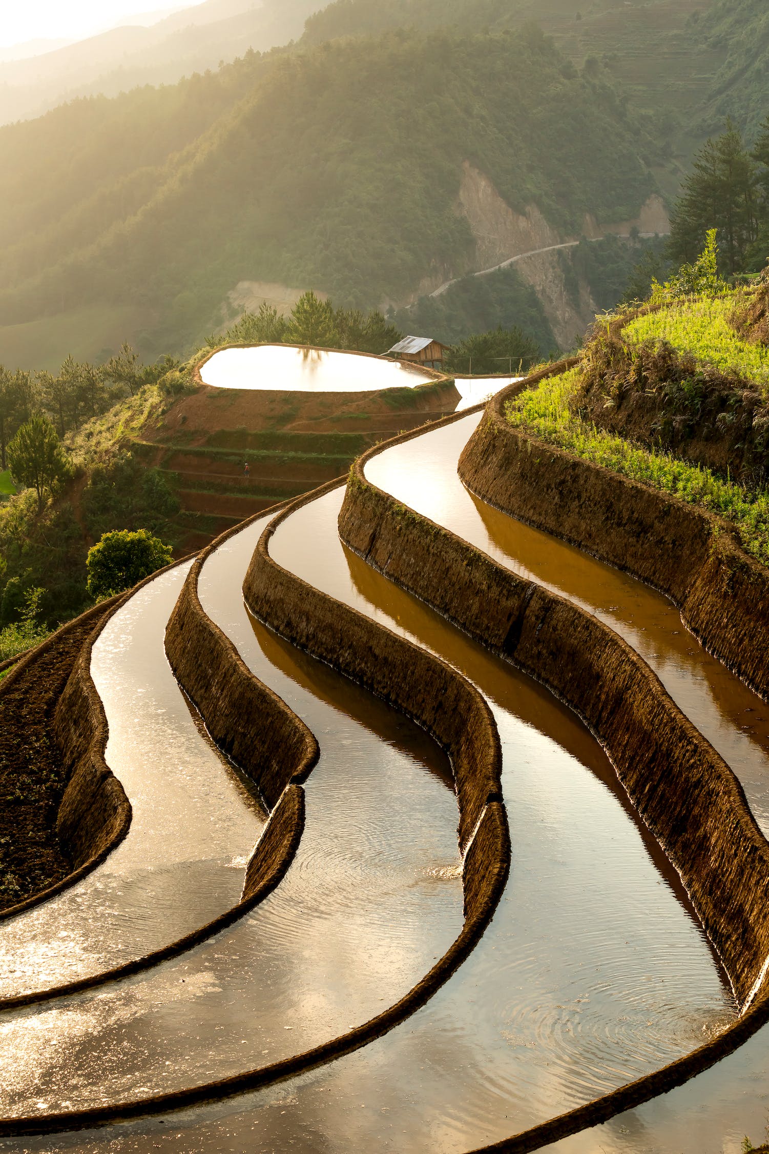 景观设计师资格证取消了（鲤鱼山公园光影展取消了吗） 广州景观设计 第1张