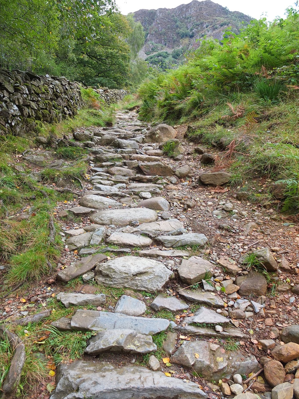 枯山水设计风格有哪些（树木多的庭院如何做枯山水）