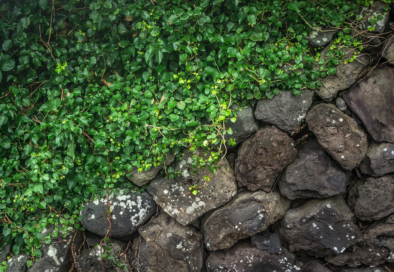 森森三合一过滤器（森森三合一过滤器如何调水流）